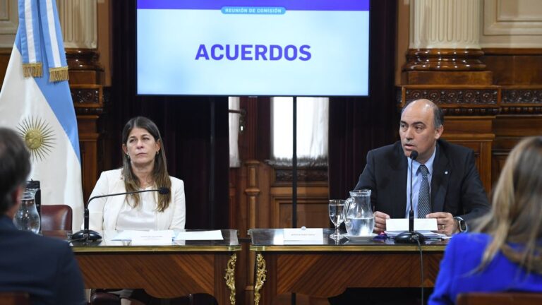 El Senado trató en comisión los pliegos de los embajadores de España y EEUU