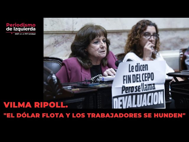 Vilma Ripoll. El dólar flota y los trabajadores se hunden