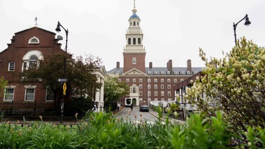 De Harvard a la UBA: la ofensiva contra las universidades trasciende fronteras