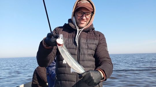 Los pejerreyes copan la parada en Cerro de la Gloria